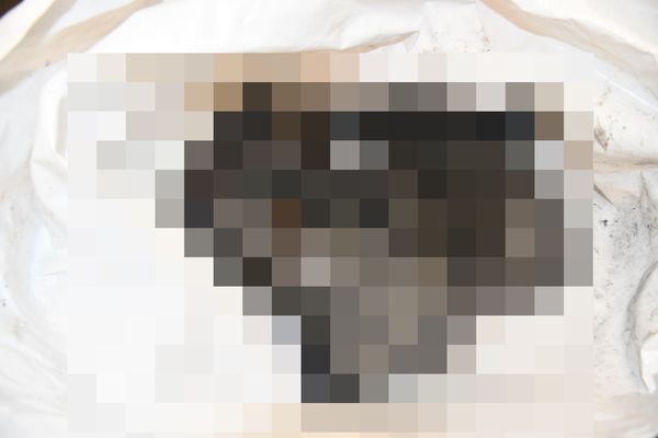 以色列總理內坦雅胡發文貼出哈瑪斯殘殺嬰兒的照片。 圖：翻攝X（前推特）Prime Minister of Israel