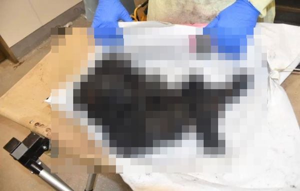 以色列總理內坦雅胡貼出哈瑪斯殘殺嬰兒的照片。 圖：翻攝X（前推特）Prime Minister of Israel