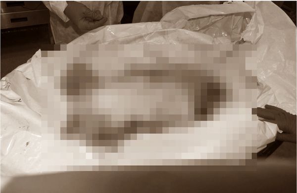 以色列總理內坦雅胡發文貼出哈瑪斯殘殺嬰兒的照片。 圖：翻攝X（前推特）Prime Minister of Israel
