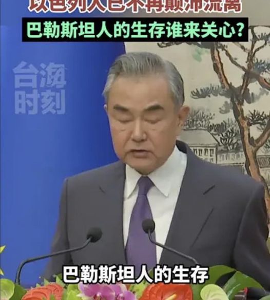 王毅12日表示，巴勒斯坦問題是中東問題的核心，癥結點在於一直沒有還巴勒斯坦人民一個公道。 圖：翻攝東南衛視