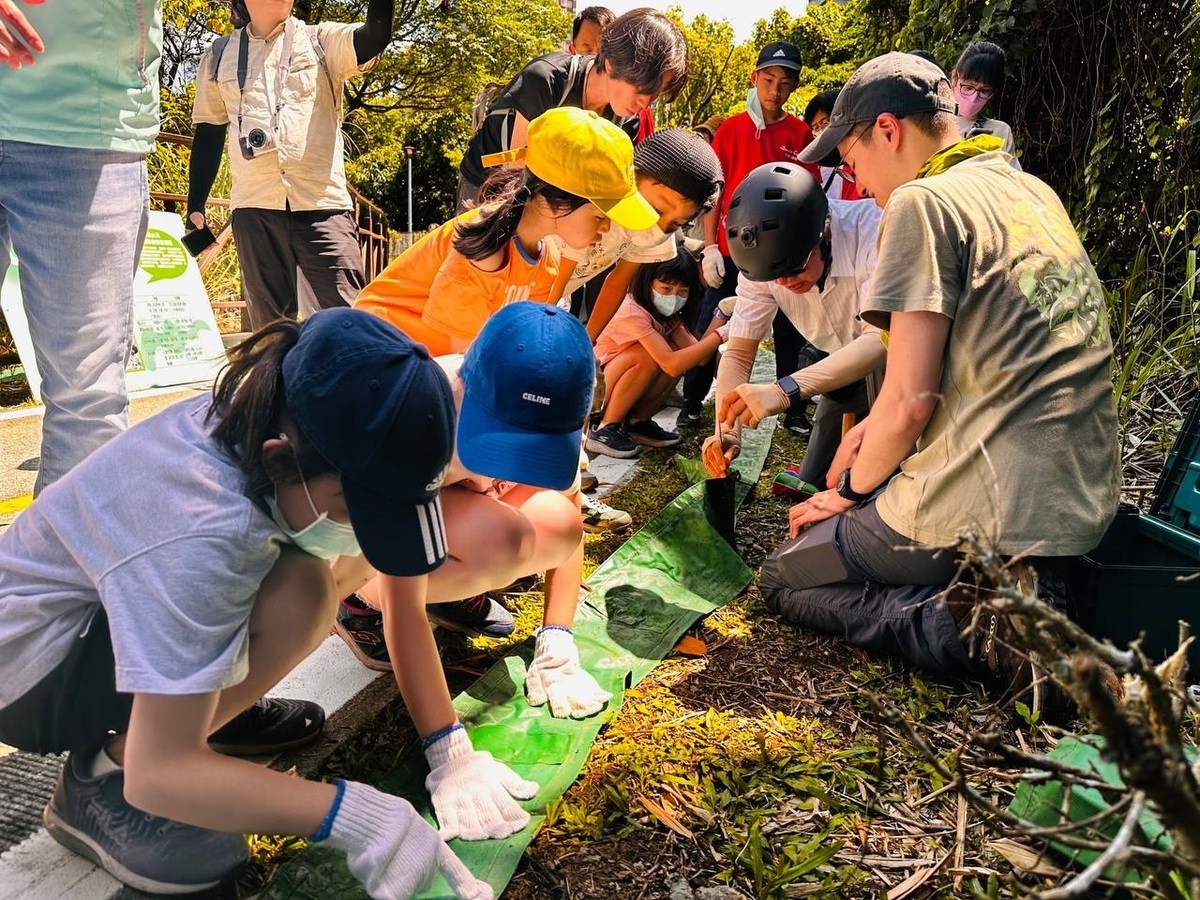 今年5月荒野保護協會與竹圍國小友善陸蟹生態廊道守護行動。 圖：新北市政府高灘地工程管理處／提供