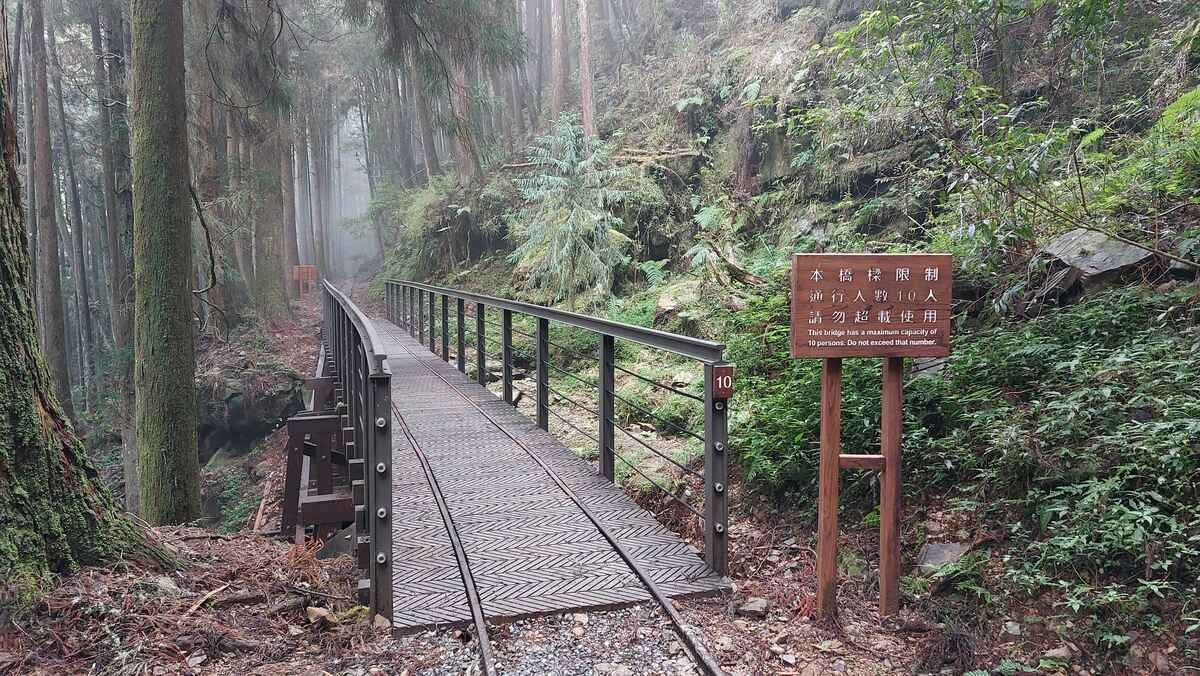 特富野古道沿途保有部份舊鐵道枕木鐵軌與鐵道棧橋。 圖：翻攝自農業部林業及自然保育署嘉義分署官網