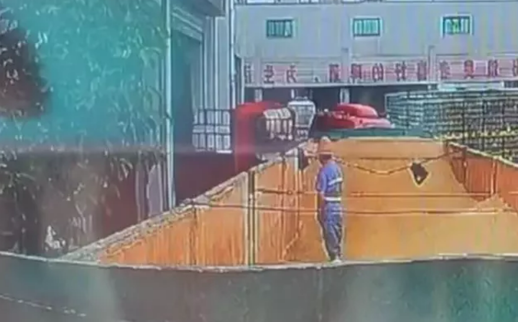 網傳疑似有工人在青島啤酒原料倉小便，網友看了影片直呼近期不敢購買該企業商品。 圖: 翻攝自中國《上海第一財經》