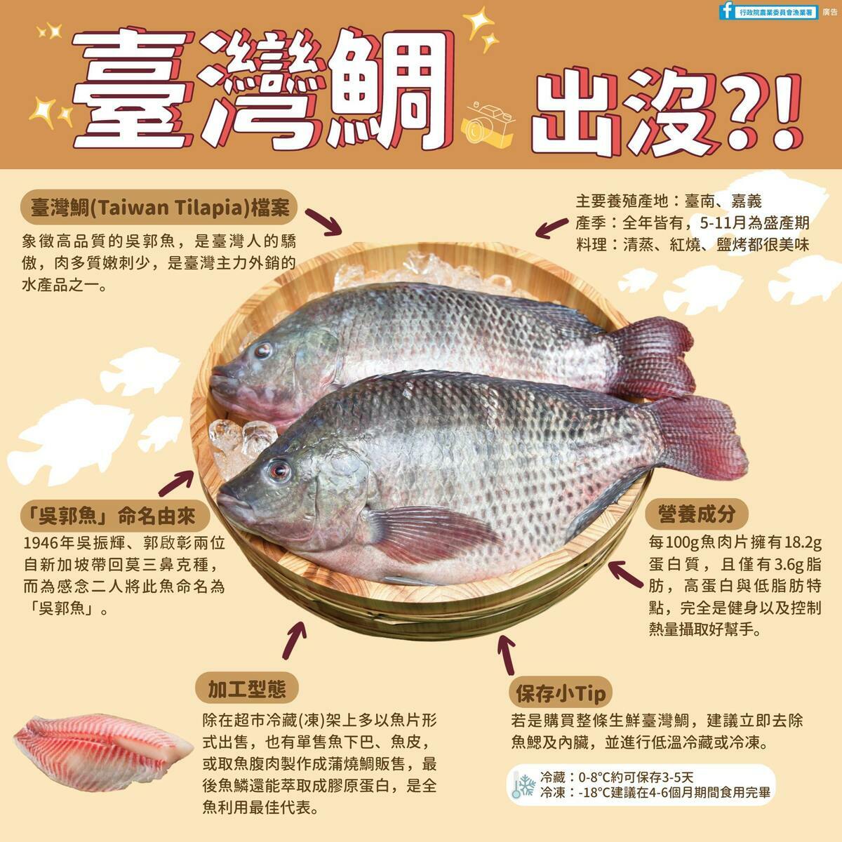 俗稱吳郭魚的台灣鯛被中國廣西居民反映大量繁殖，危及河流內生態多樣性 圖：翻攝漁業署臉書