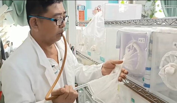 高市府與高醫大合作矴究沃爾巴克氏菌生物防治技術。 圖：高雄市衛生局/提供