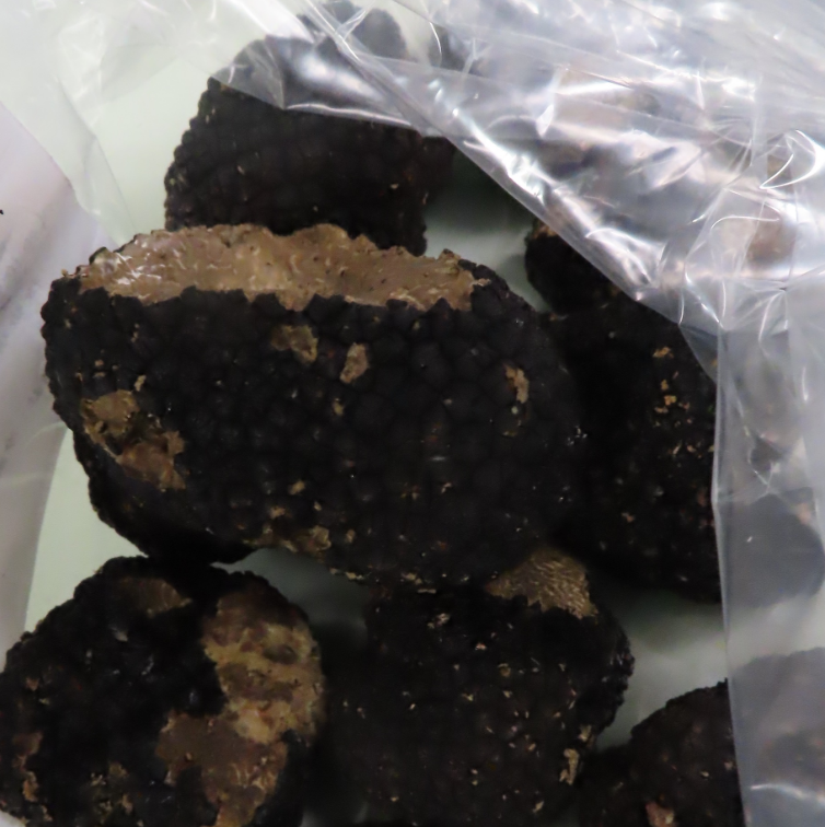 義大利「黑松露」，檢出重金屬鎘5mg/kg，超過菇蕈類的鎘限量2mg/kg，其製造商是GEOFOODS SRL。 圖：食藥署／提供