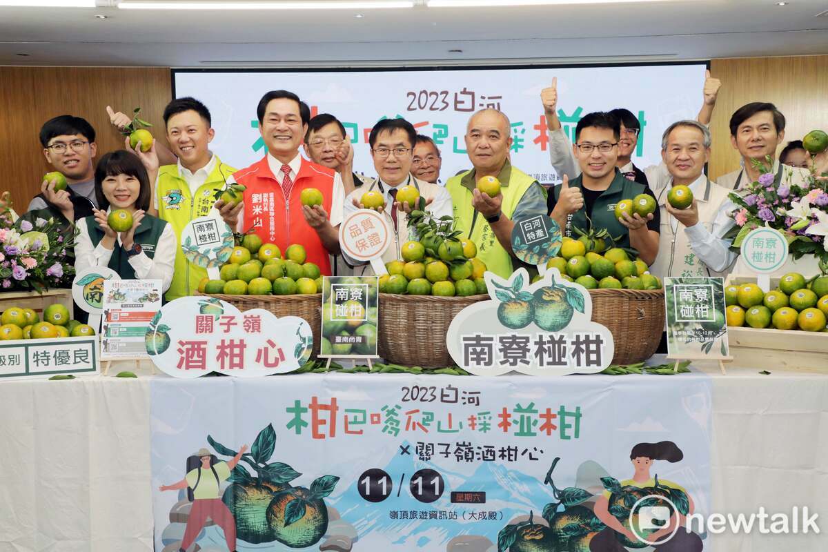 台南白河著名的南寮椪柑進入盛產期，台南市長黃偉哲今日出席「2023白河柑巴嗲爬山採椪柑x關子嶺酒柑心」宣傳記者會，預告活動於11月11日（六）在關子嶺嶺頂資訊站前廣場舉辦。 圖：黃博郎／攝