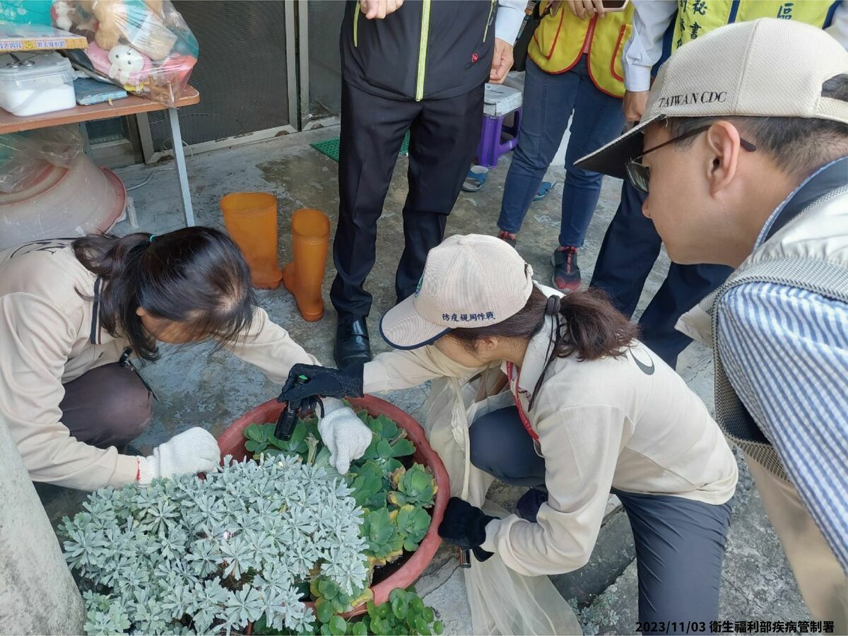 台南市本土登革熱疫情連續5週下降，但本週近六日(10/29-11/3)降幅較小，部分非流行熱區病例數則有增加趨勢。 圖：疾管署／提供
