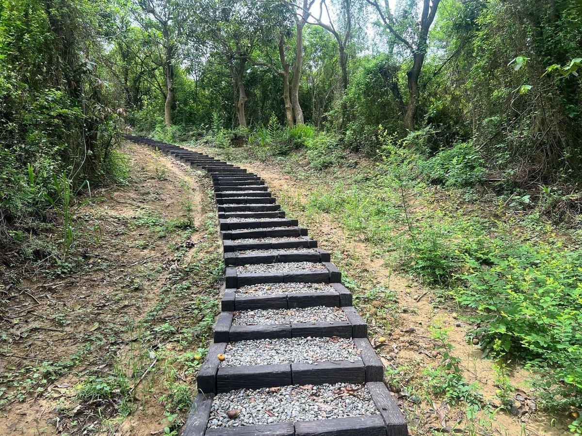 林間步道階梯。 圖：台南市政府觀光旅遊局／提供