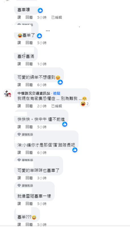 塞車的羊群讓網友覺得相當可愛，直呼「就像雪隧塞車一樣」。 圖：翻攝自清境農場