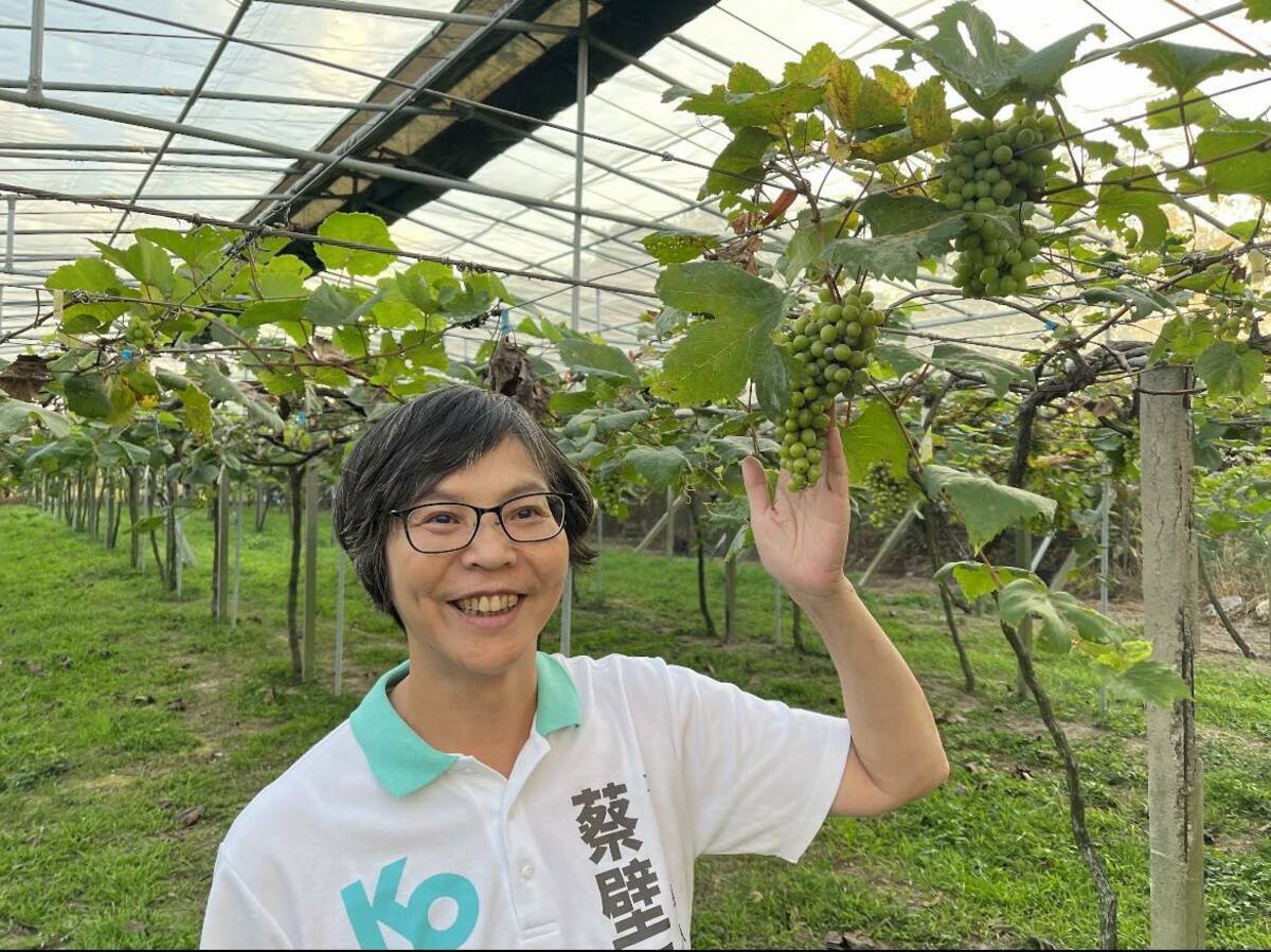 民眾黨台中市立委參選人蔡壁如。 圖：翻攝蔡壁如臉書