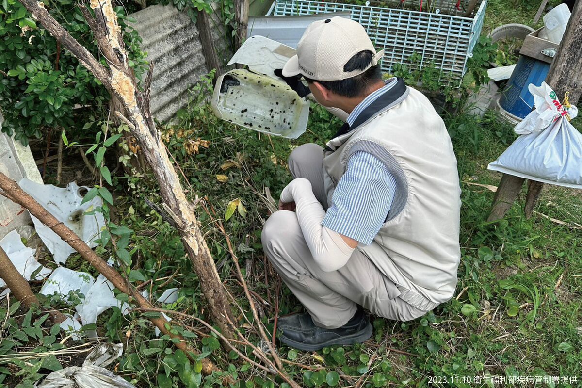 疾病管制署今(10)日表示，台南市本土登革熱疫情明顯下降，近5日(11/5-11/9)共727例，較上週同期908例下降20%。 圖：疾管署／提供