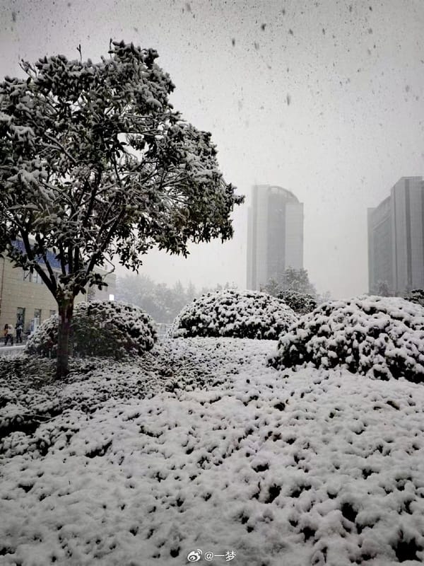 凜凜寒冬卻雷聲翻滾，少見現象不僅在古代詩歌裡被用以襯托忠貞不渝的感情，更存在諸如蟲害猖獗、瘟疫四起的「不祥之兆」一說。 圖：取自微博