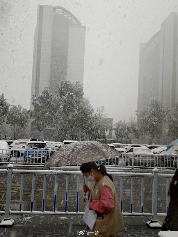 「雷打雪」，或稱雪雷，是特殊的天氣現象，少見但不算反常。 圖：取自微博
