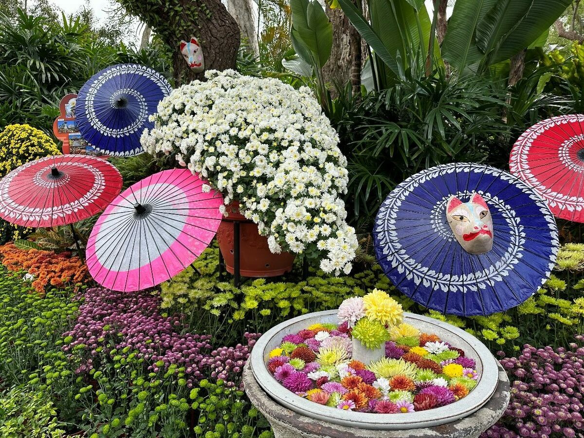 台北士林官邸菊展即將登場，展期自11月24日至12月10日。 圖：翻攝自台北市政府工務局公園路燈工程管理處官網