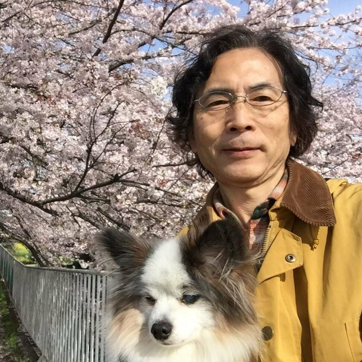 日本日本政治學者小笠原欣幸指出藍白合的一些疑點。 圖 : 翻攝自小笠原欣幸臉書