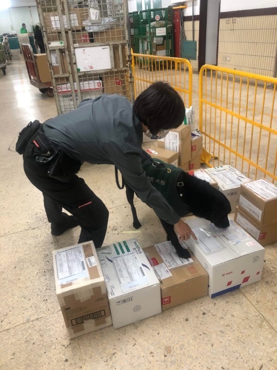 防疫檢疫犬檢查郵包。 圖：農業部／提供