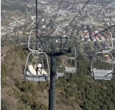 北京香山公園發生覽車墜落事件，傳造成重大傷亡，中國全面封鎖消息。 圖：翻攝自羅翔 X（前推特）帳號