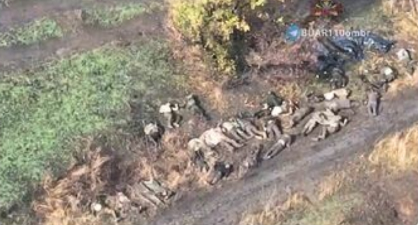 成排的俄軍屍體被堆放在阿夫迪夫卡的戰場上。 圖 : 翻攝自X (前推特) Michael MacKay