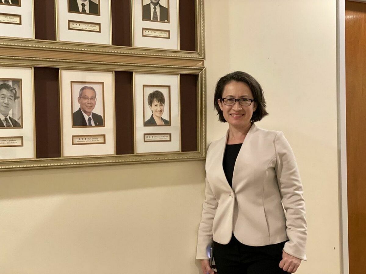 將代表民進黨參選2024副總統的駐美大使蕭美琴，27日在社群網站宣布告別華府。 圖：X平台/@bikhim