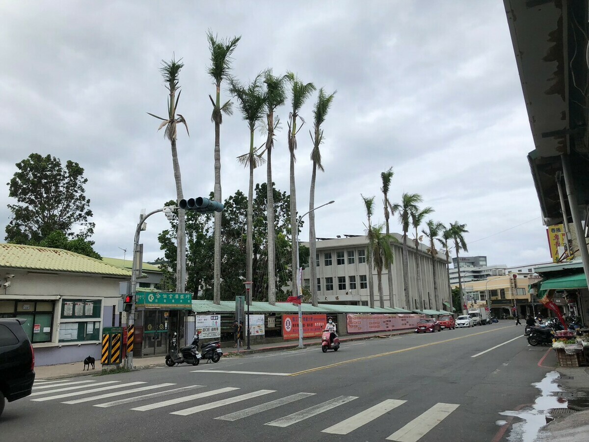 今(29)日東北季風減弱，台灣各地及澎湖、馬祖大多為多雲到晴，僅北部山區、東半部地區及金門有零星短暫雨。 圖：林冠妤／攝