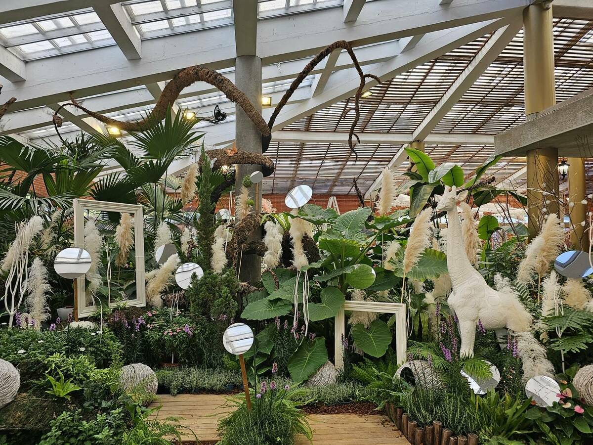 以鏡子、藤蔓、乾燥花等，透過鏡中的花卉倒影，建構浪漫空間。 圖：翻攝自公園路燈工程管理處官網