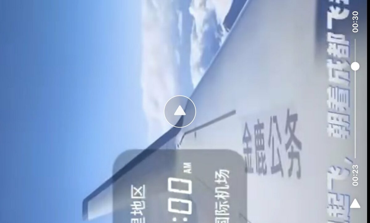 X（前推特）帳號「羅翔」表示，余小姐的家屬解釋是包機，實際上使用的是公共資源，是「公務機」。「羅翔」上傳的影片中，有細心的網友瞄到影片中的飛機側翼上寫著「金鷹公務」，認為余小姐所乘坐的事「公務機。 圖：翻攝自X帳號@羅翔