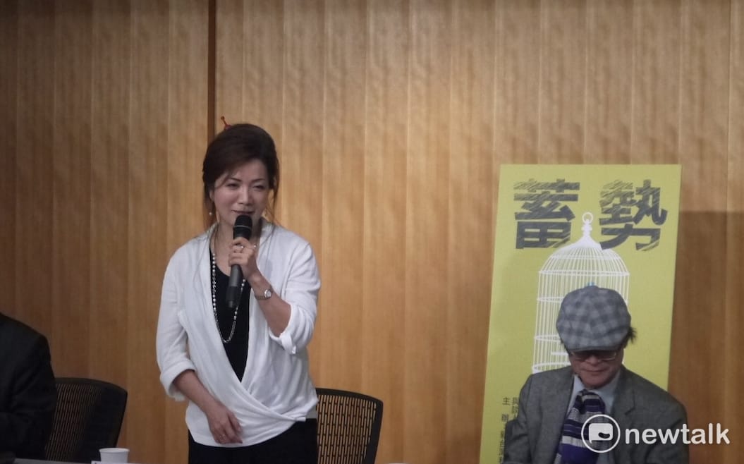 王美琇新書發表中頻頻點出民進黨目前執政的困境，甚至質疑為何台灣人民不反中。 圖：鍾孟軒/攝