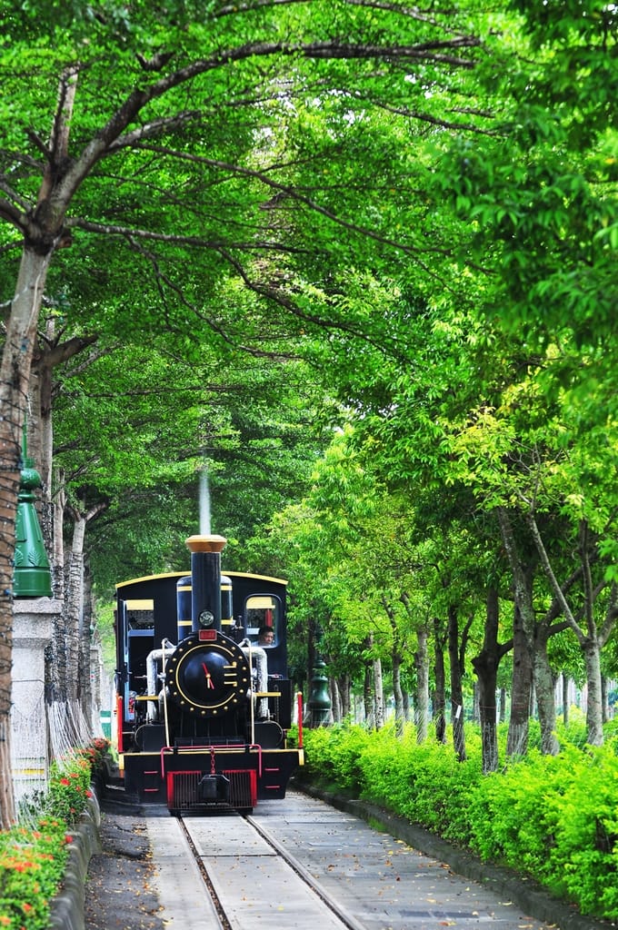 集集的綠色隧道多與鐵道比鄰，可以看見火車緩緩行駛的景象 圖：交通部觀光局提供