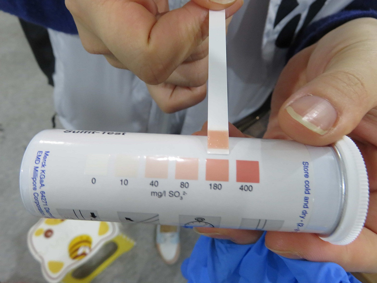 衛生局對漂白豆芽菜進行二氧化硫快篩，檢驗結果呈陽性。 圖：新北市政府/提供