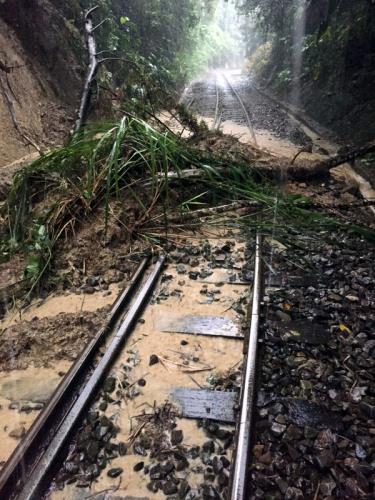 嘉義地區17日凌晨降驟雨，阿里山森林鐵路管理處宣布阿里山森鐵本線各級列車，17日全面停駛。竹崎站至樟腦寮站間（木屐寮站附近，19公里350公尺）上邊坡土石、樹木滑落約4立方米，阻斷鐵路運輸。  圖：台鐵提供