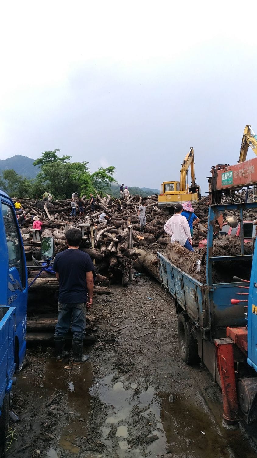 出現挖土機造成石門水庫環湖道路大塞車，保七總隊也派員協助指揮交通，讓民眾能順利進入阿姆坪漂流木堆置場，撿拾漂流木。 圖：北區水資源局提供