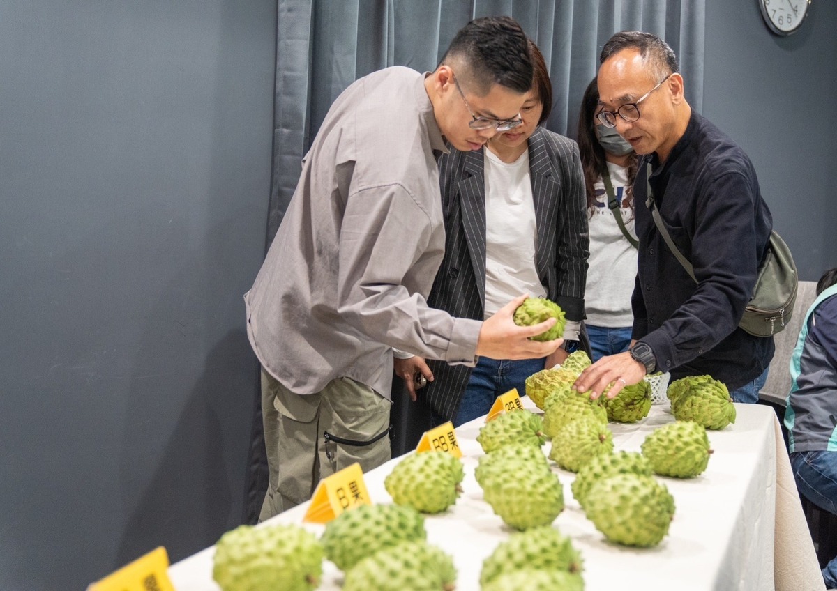 台東釋迦農等中國放行 饒慶鈴：中央勿有意識型態 應以農民利益優先