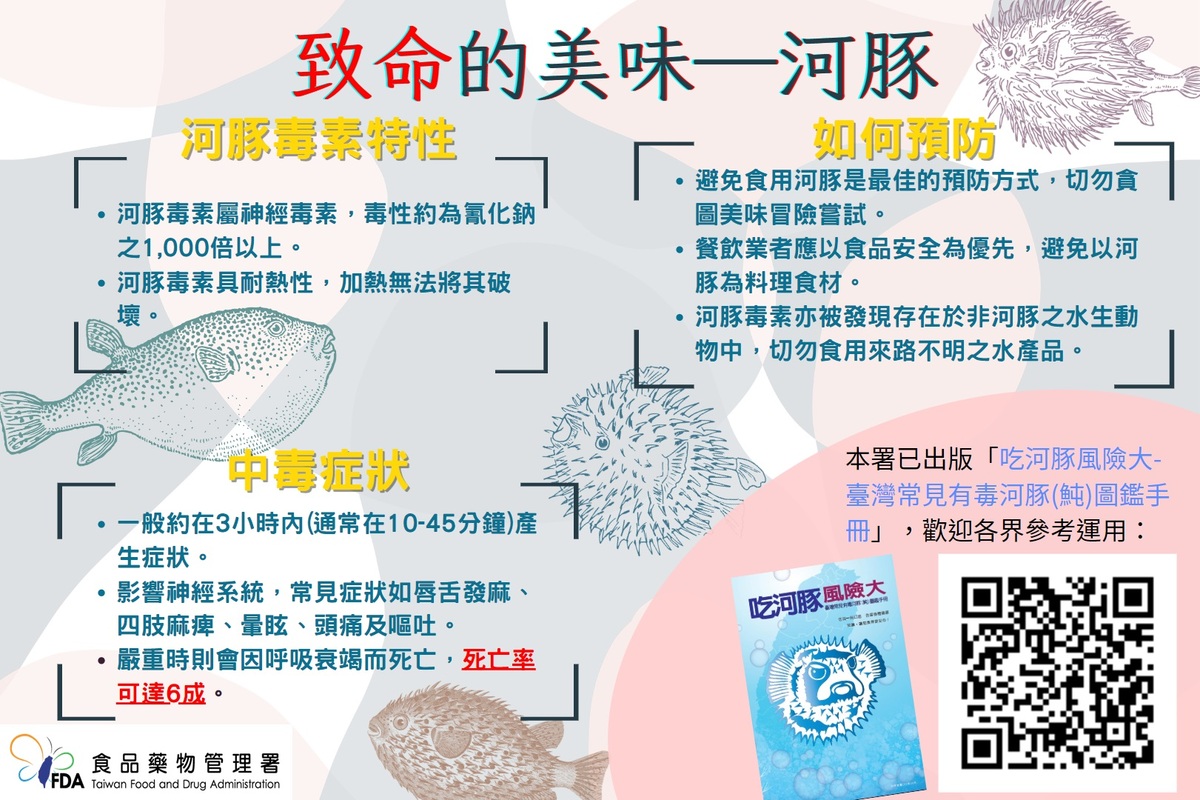食藥署表示，鑑於河豚種類繁多，光靠肉眼不易辨識，河豚毒素屬於神經毒素，毒性約為氰化鈉之1,000倍以上。 圖：食藥署／提供