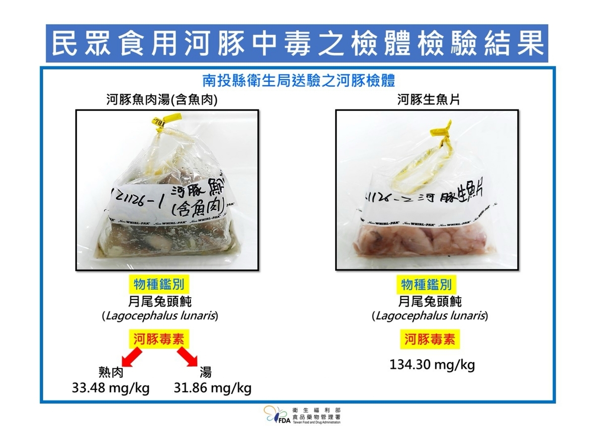 食藥署今表示，國家實驗室今確認南投河豚3件送驗檢體的河豚，是有毒的「月尾兔頭魨」。 圖：食藥署／提供