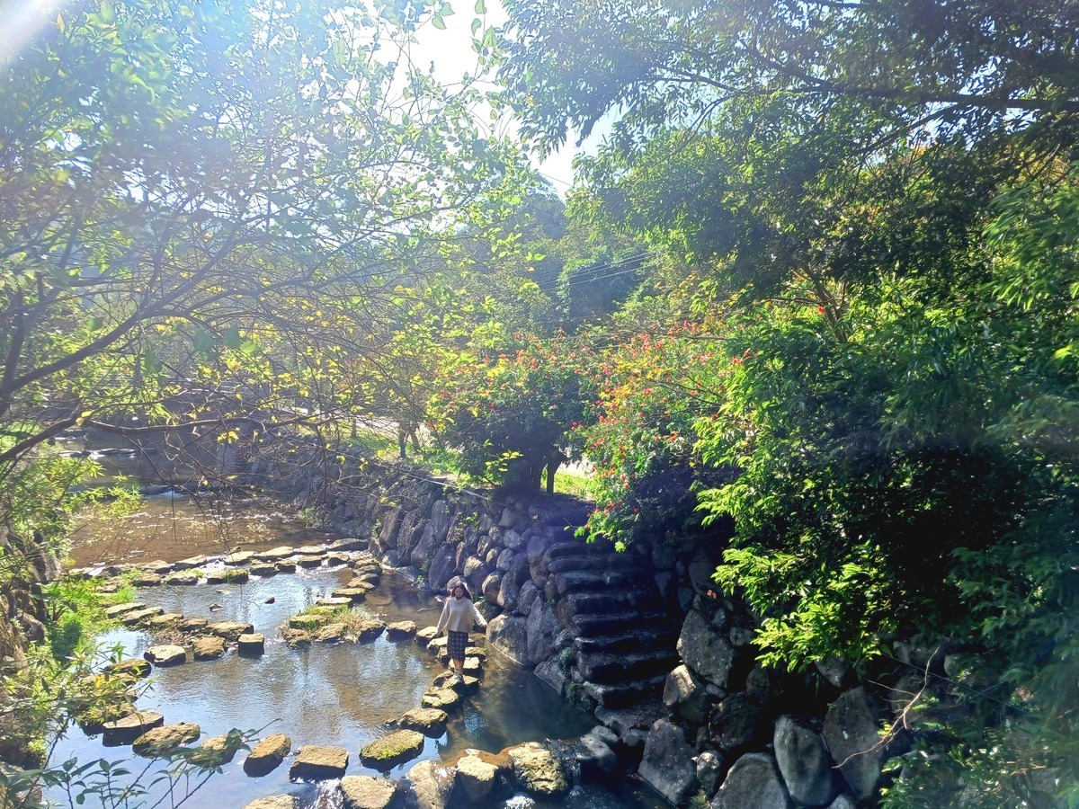 走進九如社區，就能欣賞悄轉紅的落羽松。 圖：翻攝自台北市政府工務局大地工程處官網