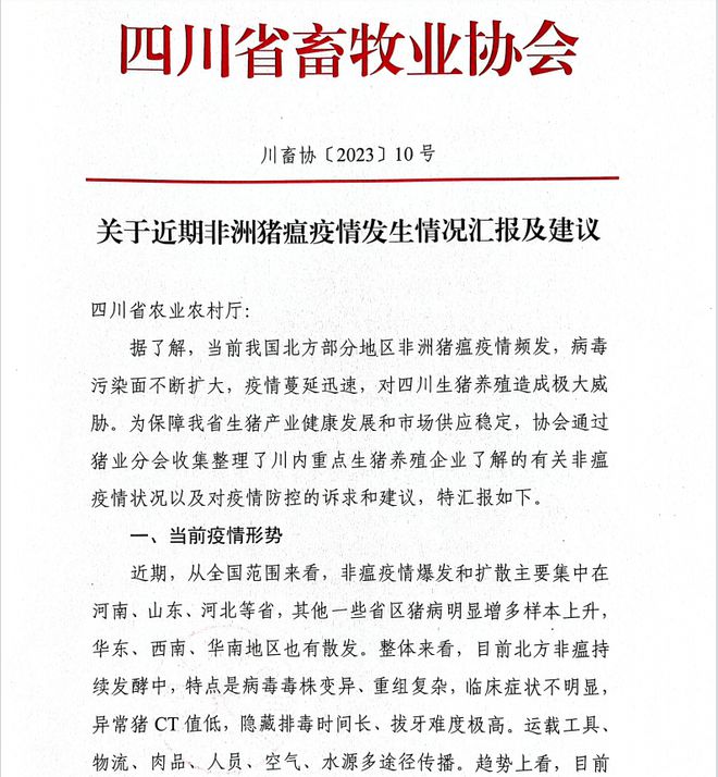 中國四川省畜牧業協會檔《關於近期非洲豬瘟疫情發生情況報告及建議》內容遭到外流。 圖：翻攝自中國《財聯社》