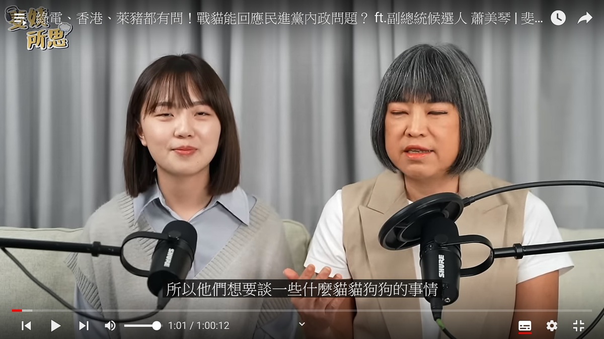 媒體人范琪斐16日訪問稱賴清德陣營只想談貓貓狗狗，18日發表道歉聲明。 圖：翻拍自范琪斐YouTube