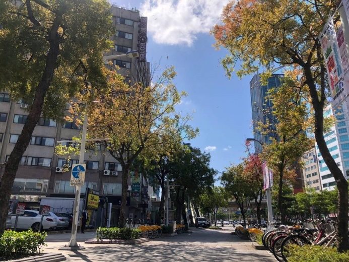 天氣漸漸寒冷，不過台北市西門町中華路也因天氣轉涼出美景。 圖：翻攝自台北市政府工務局公園路燈工程管理處官網