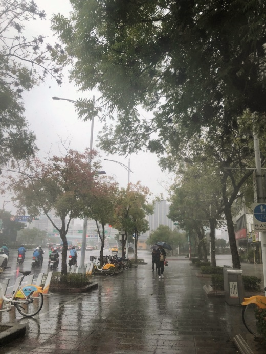 雨中漫步或騎乘自行車暢遊於人行街道上，更能深刻體驗黃連木橘紅浪漫暖意。 圖：翻攝自台北市政府工務局公園路燈工程管理處官網