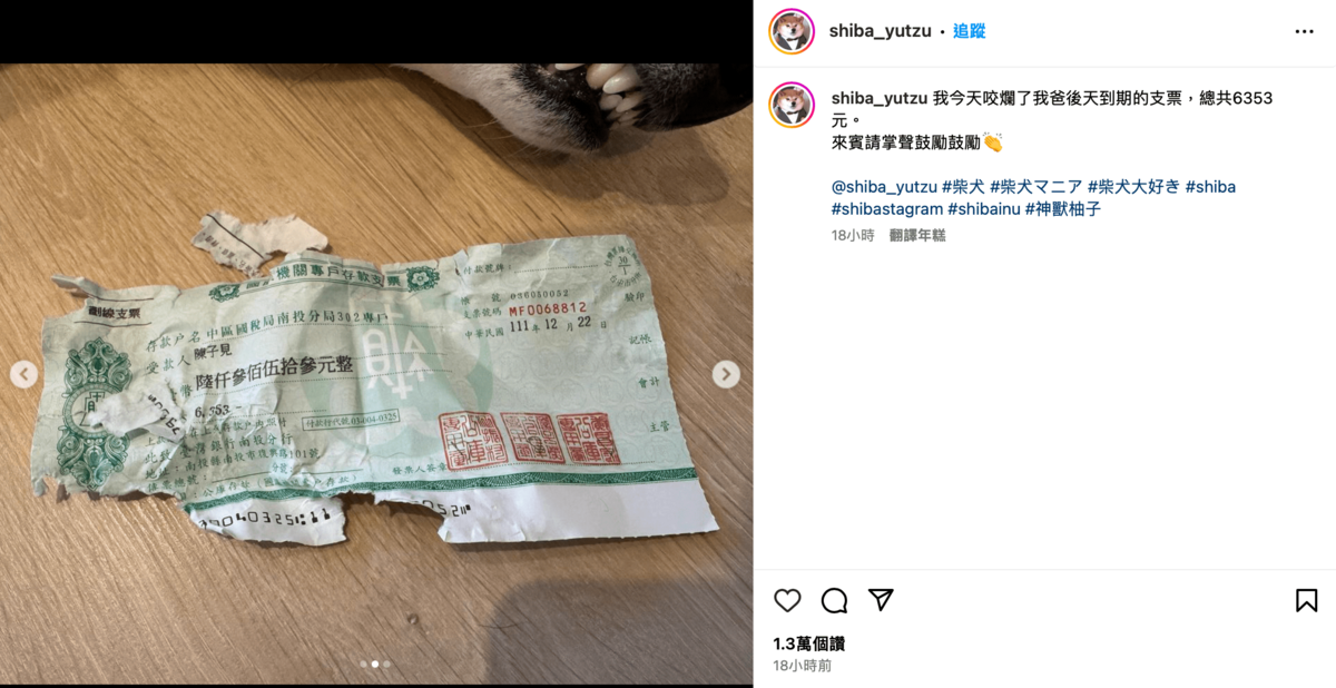 此外，視網膜也更新了柚子的專屬帳號，以愛犬的視角發文。 圖：翻攝自IG＠shiba_yutzu