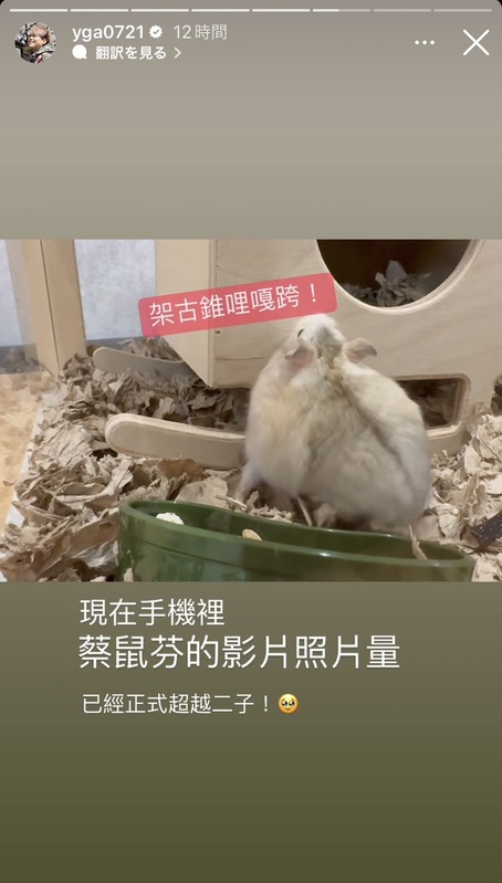 蔡鼠芬可愛的模樣讓蔡阿嘎瞬間融化，表示「現在手機裡蔡鼠芬的影片照片量已經正式超越二子！」。 圖：翻攝自蔡阿嘎IG