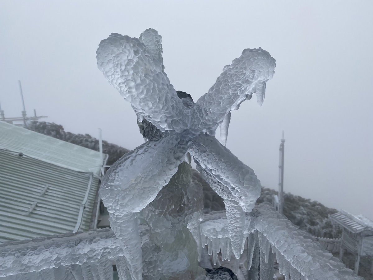 玉山北峰一夜凍雨冰封山頭 合歡山「武嶺菜市場」嗨迎飄雪