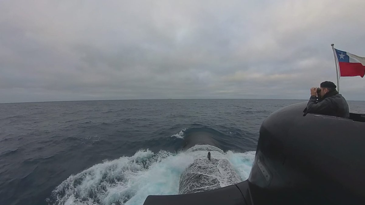 智利海軍宣布部署一艘鲉魚級（Scorpène-class）柴電攻擊潛艦執行監視行動，而雖未點名對象，但被認為目的是監控中國漁船隊在其領海內的活動。 圖：擷自智利海軍「X」@Armada_Chile