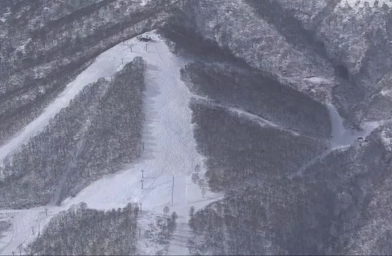 新潟縣滑雪場發生一名女子因跌倒遭雪掩埋而往生的悲劇。圖為事發滑雪場。 圖：翻攝自新浪網