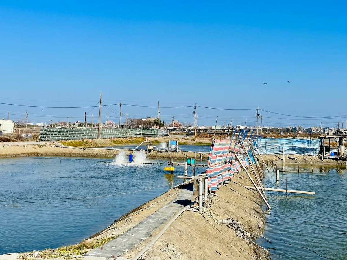 漁民搭建防風棚為防寒做好準備。 圖：取自農業部漁業署臉書