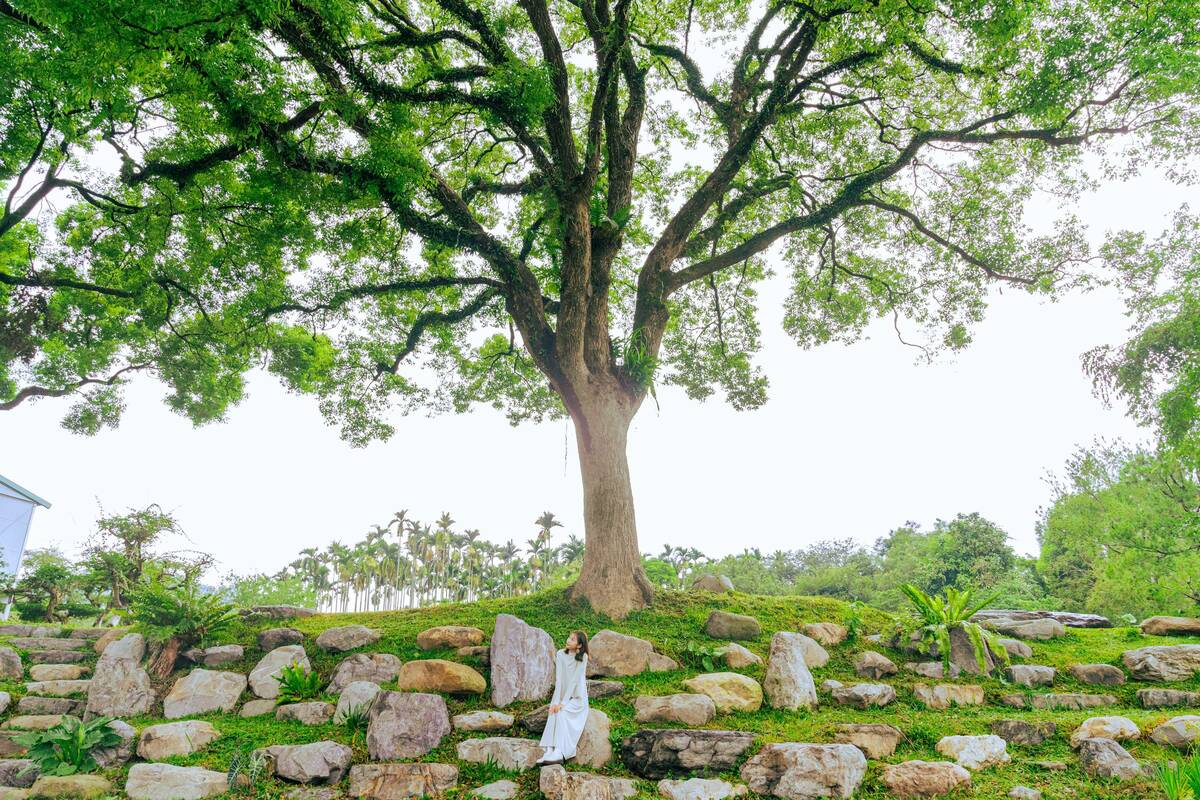 南投縣埔里鎮珠仔山社區，共同整理改善社區內的老樹公園場域－文淵老樹生態教育園區。 圖：農業部農村發展及水土保持署／提供