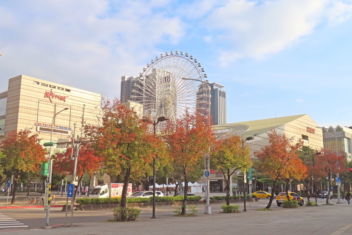 大直美麗華附近楓香依次轉紅。 圖：翻攝自台北市立公園處官網