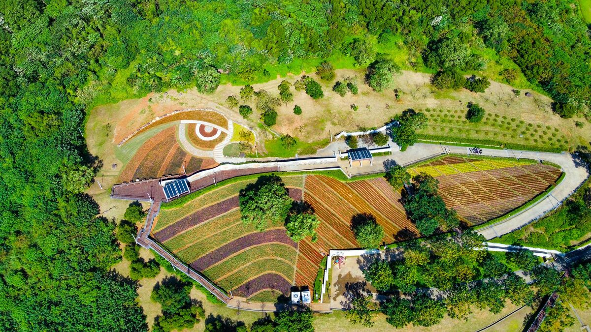 2023年三層崎大冠鷲樣貌花海。 圖：翻攝自台北市立公園處官網