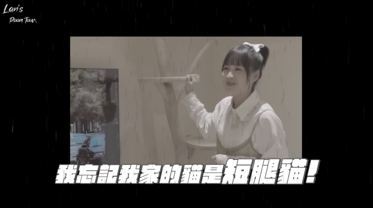 原本裝貓跳台希望可以讓愛貓在家玩耍，沒想到竟忘記牠們是短腿貓。 圖：翻攝自YT／籃籃